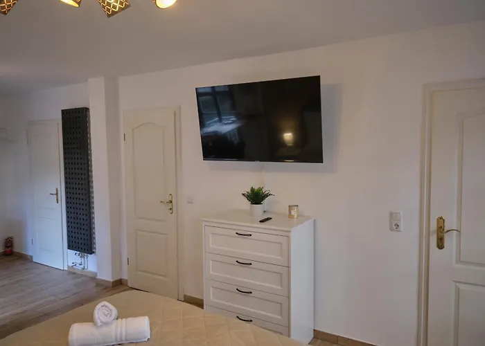 Historische Alte Muehle Direkt An Der Burg